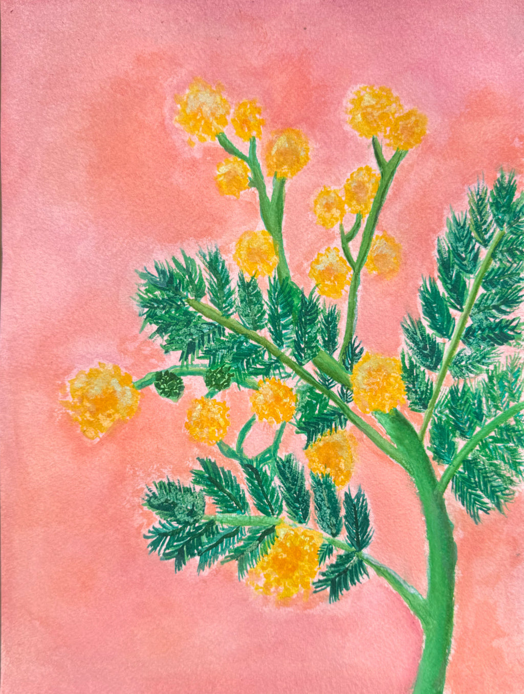Yellow Acacia 8x10 Original Watercolor Piece