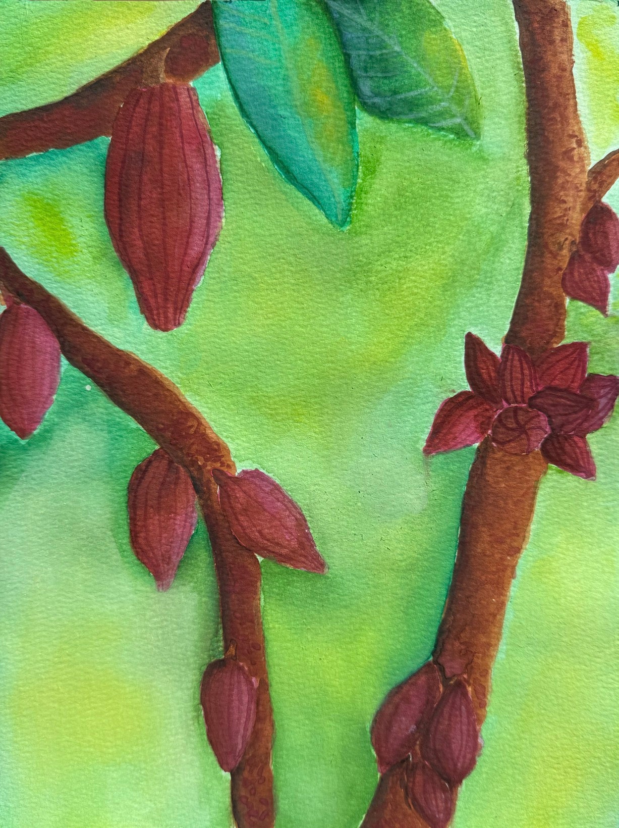 Cacao 8x10 Original Watercolor Painting