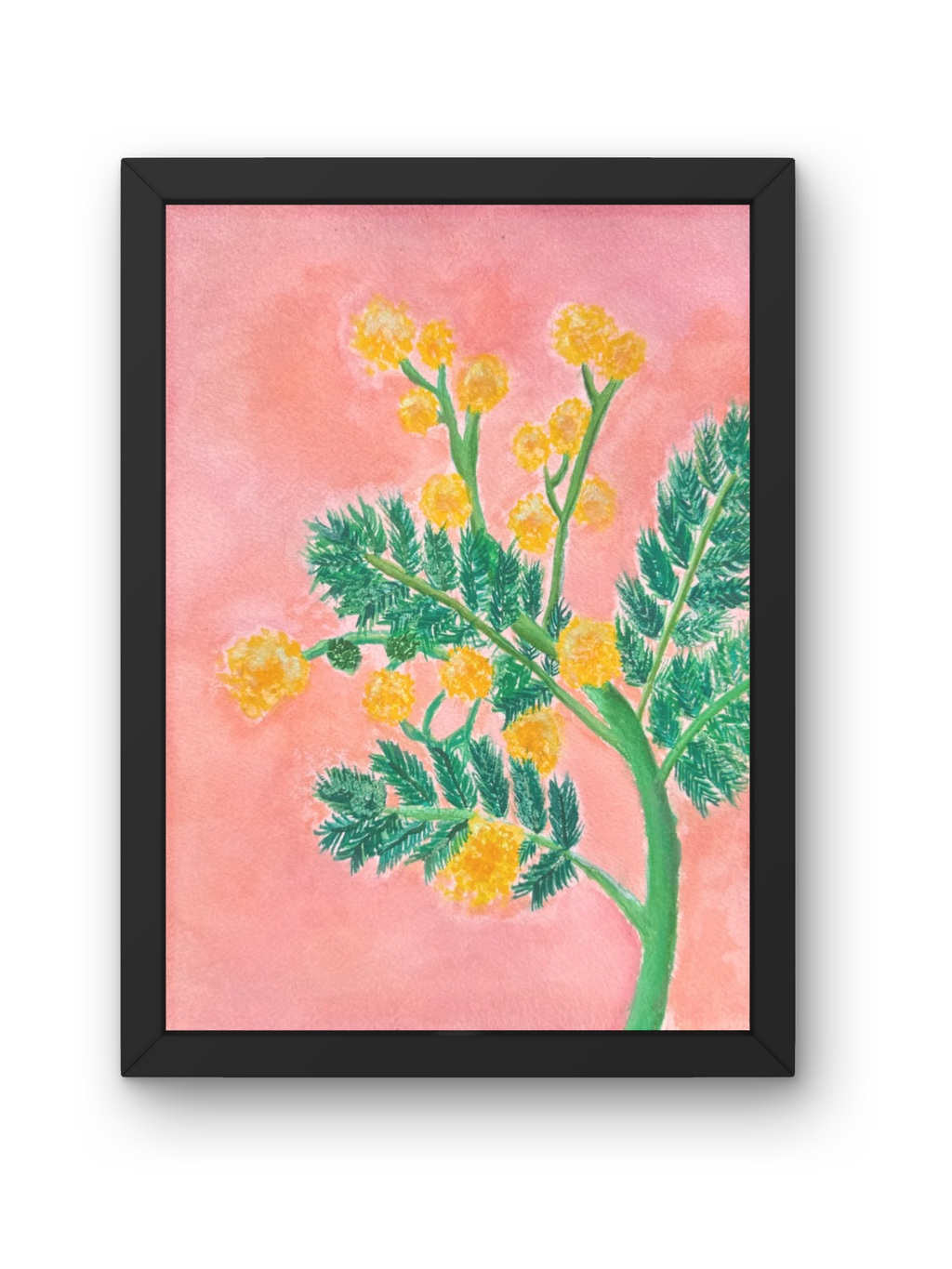 Yellow Acacia 8x10 Original Watercolor Piece
